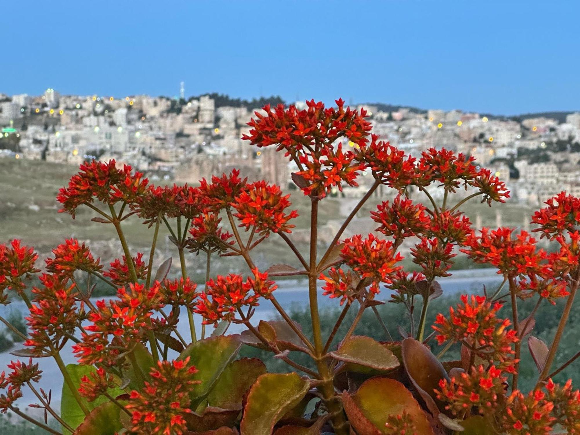 Jerash City View Jarash Exterior photo