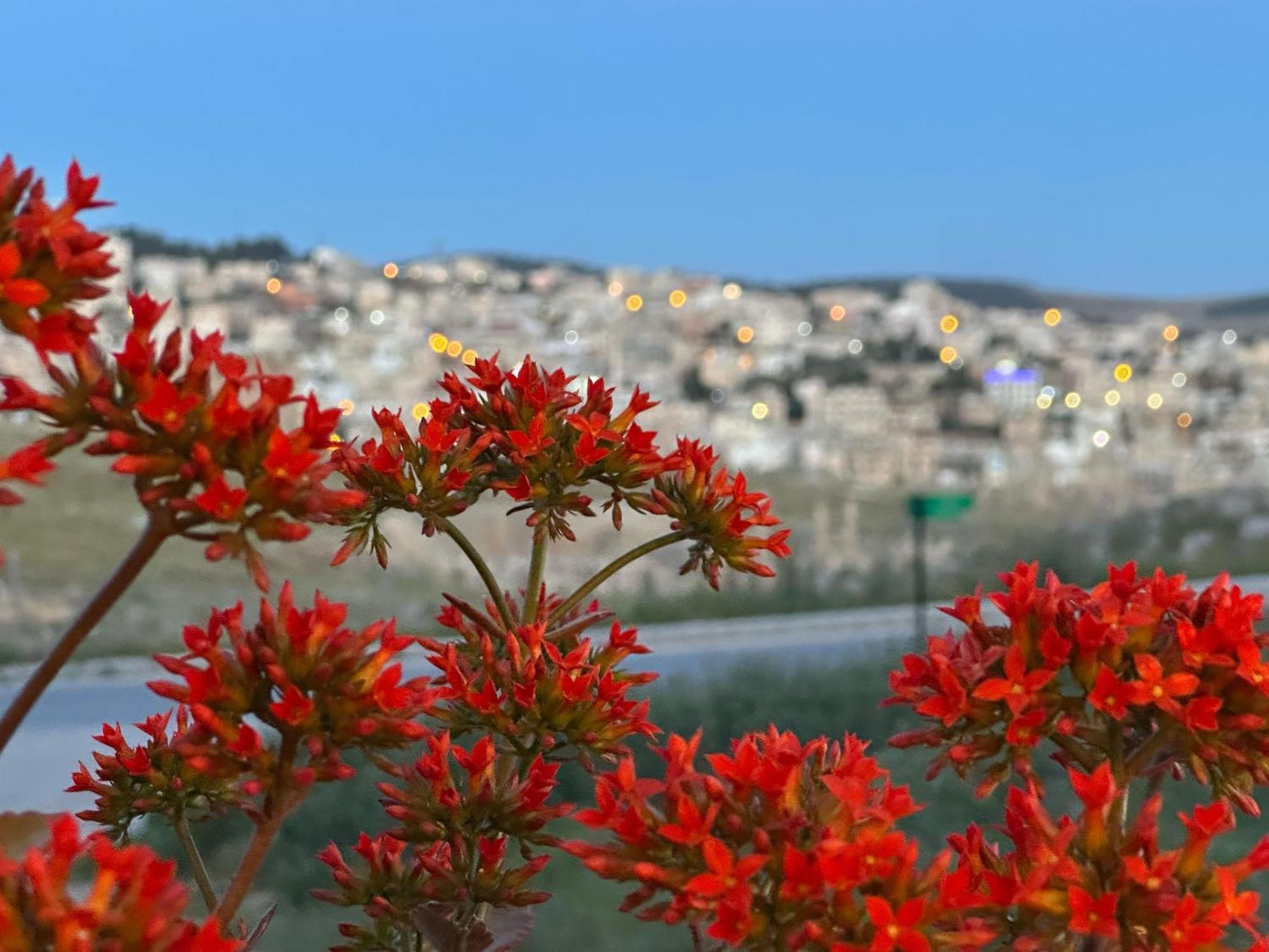 Jerash City View Jarash Exterior photo